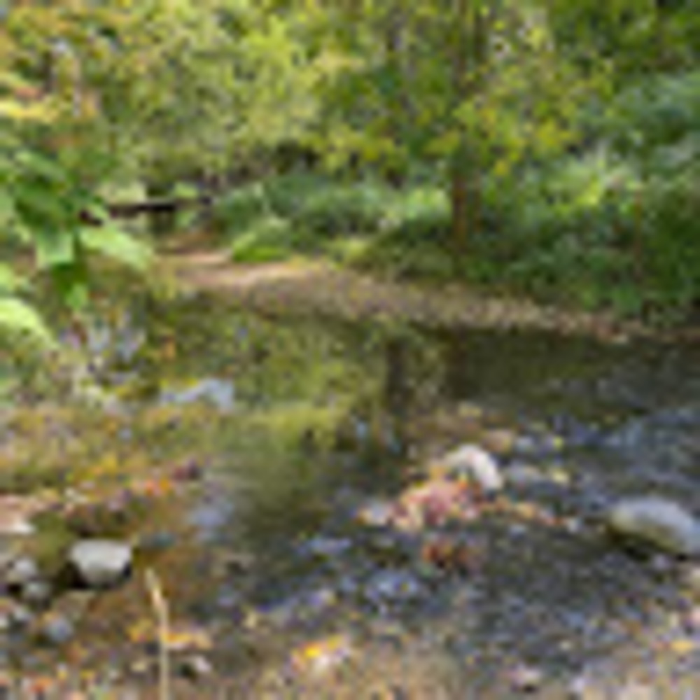 Meet your Posher, Rahaf